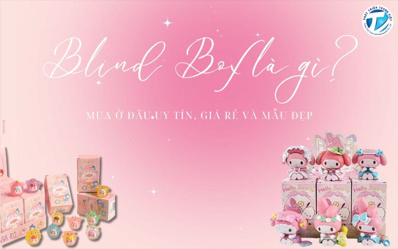 Blind Box là gì? Mua ở đâu uy tín, giá rẻ và mẫu đẹp